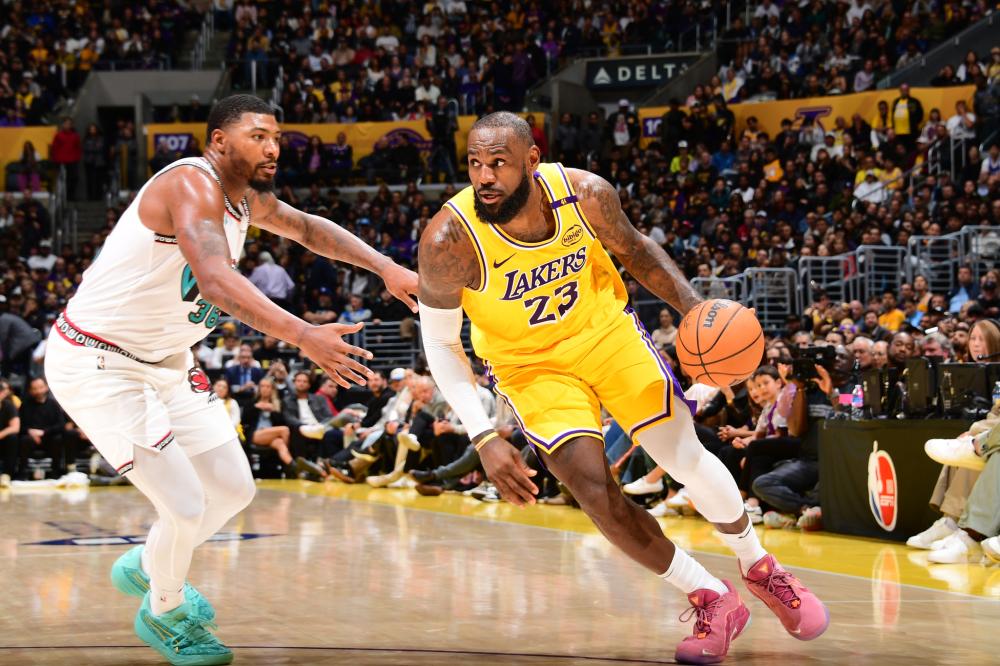 不仅彰显了 不仅彰显了